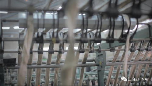 知訊005 紅海危機(jī)下的紡織業(yè)警鐘 亞麻紡紗廠面臨的挑戰(zhàn)與應(yīng)對(duì)策略