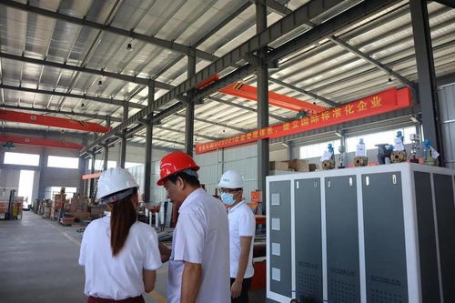 1噸燃?xì)庹羝l(fā)生器哪個(gè)品牌